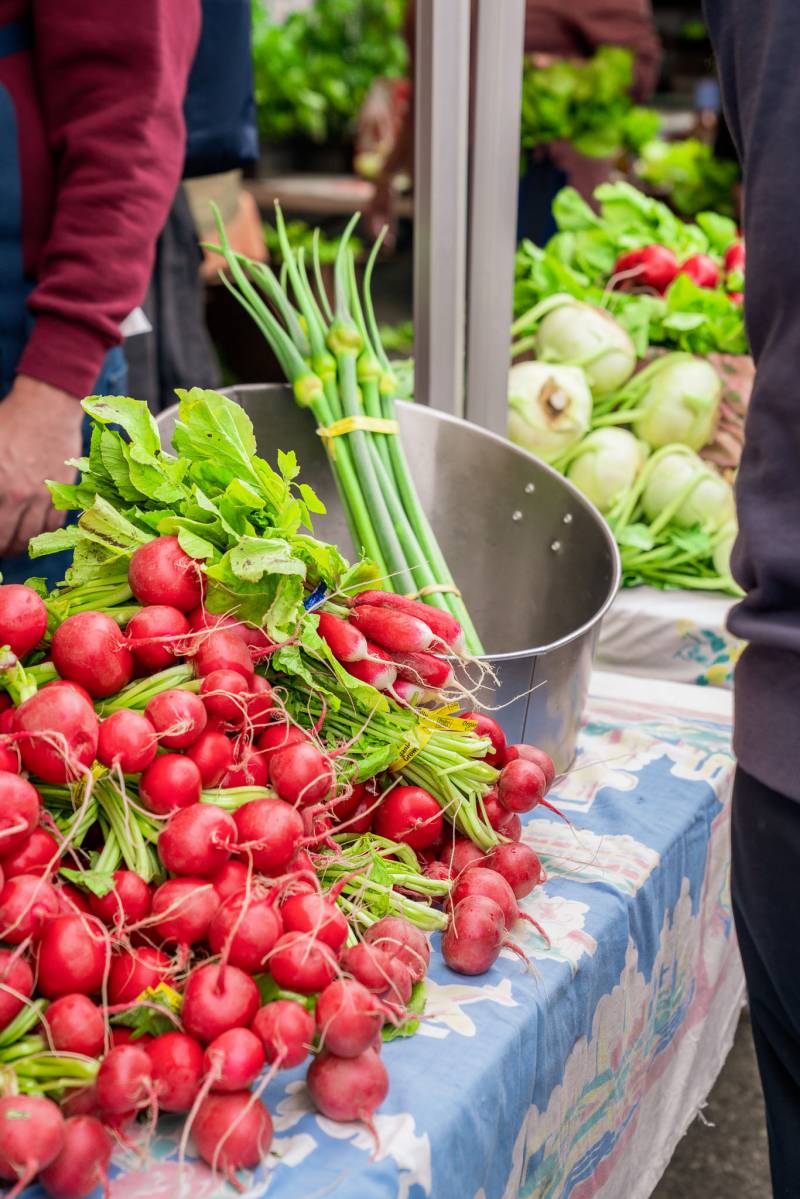 Farmer's Market Stroll & Lunch 08/02/25