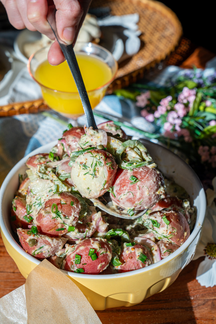 Plant-Based Picnic - 4/10