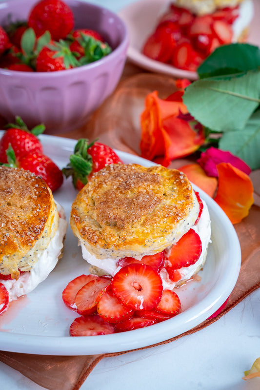 Parisian Picnic - 02/19/26